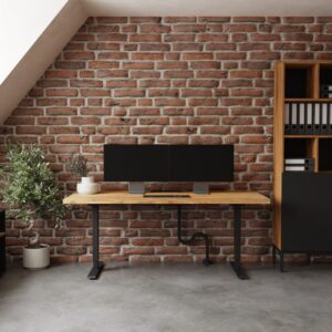 BIURKO ELEKTRCZYNE V2